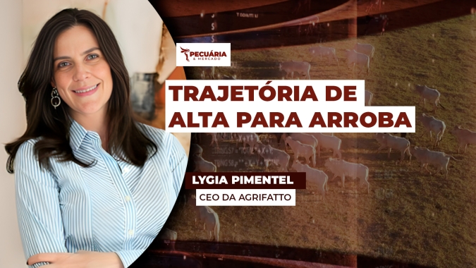 Exportações recordes e oferta enxuta de animais promovem reviravolta nos preços da arroba
