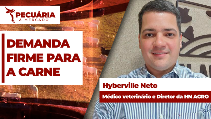 Números das exportações de carne bovina para o mês de julho mostram demanda firme