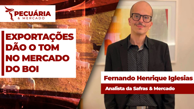 Boi Gordo: Mesmo sem China, outros países dão o tom para manutenção do ritmo de exportações