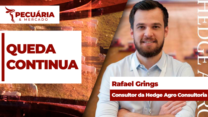 Arroba perde mais de R$20 em duas semanas com frigoríficos reduzindo compras