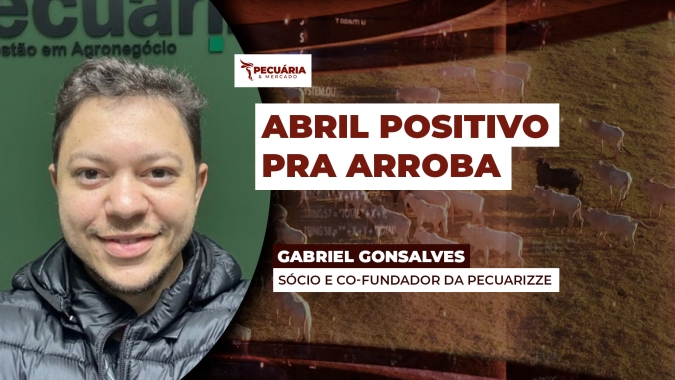 Movimento de alta da arroba se consolida nesse final de março e abre espaço para novas elevações em abril