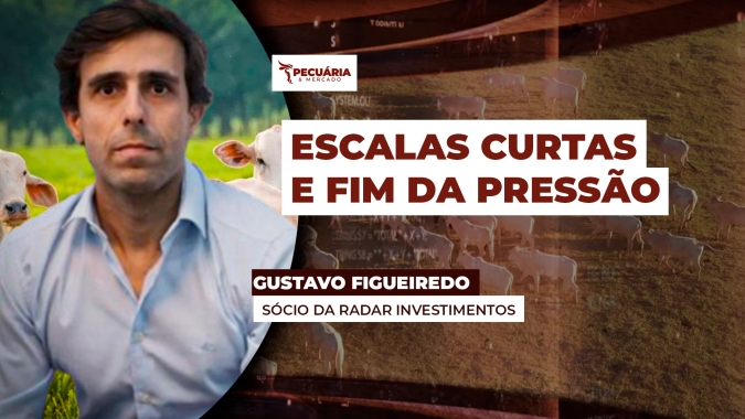 Pressão de baixa sobre arroba do boi está com os dias contados, frigoríficos não conseguiram alongar escalas