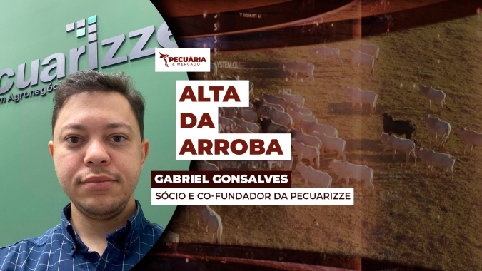Recuperação da arroba pode incentivar mais negócios e elevar oferta pontualmente, alerta analista