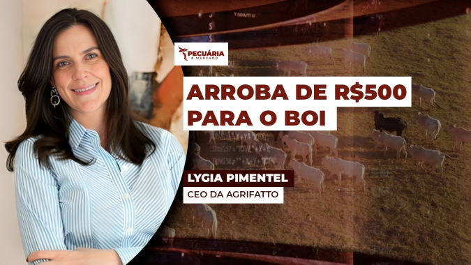 Agrifatto projeta arroba do boi de até  R$500  dentro do novo ciclo pecuário que está começando