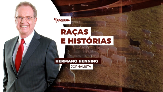 Raças queridinhas dos criadores e as que foram moda no Brasil