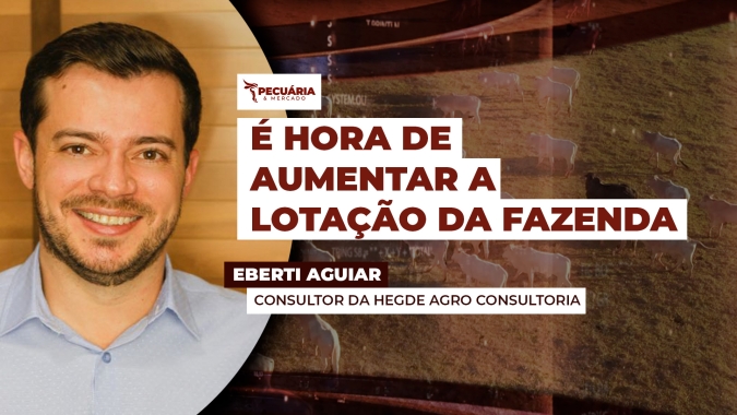 Segundo semestre com alta do boi e queda do milho garante renda maior ao pecuarista