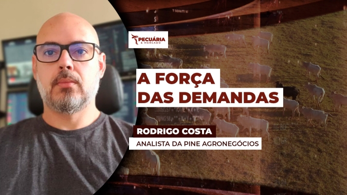 A importância das demandas, interna e externa, na formação de preços da arroba do boi