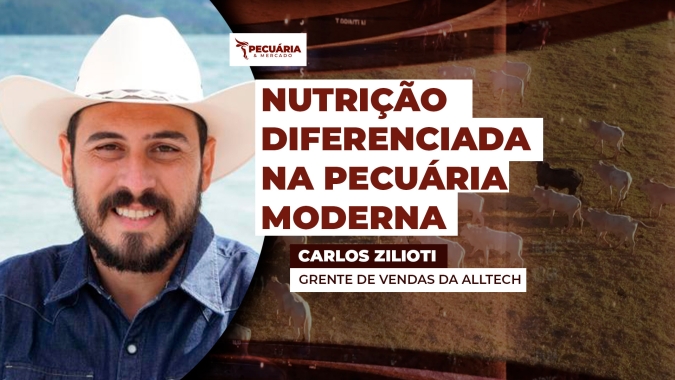 Uso de aditivos na dieta animal apoia conversão  nutricional e melhora ganho de peso dos animais