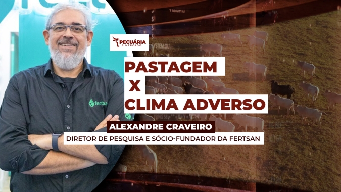 Tecnologia ajuda a estimular produção de massa verde do capim e melhora microbiota dos pastos