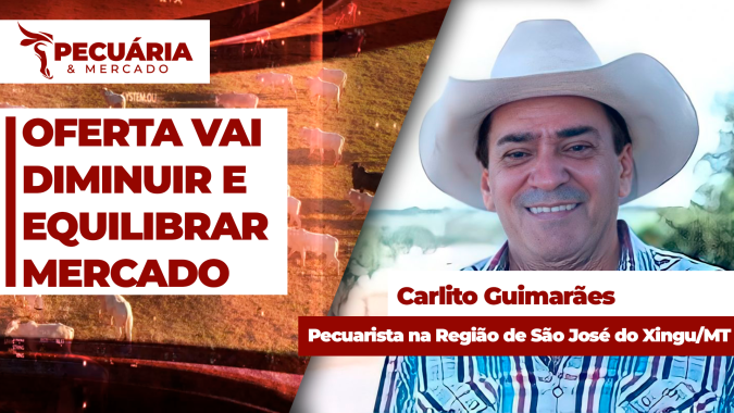 Carlito Guimarães acredita em redução de oferta de animais para ajustar mercado a partir de Agosto