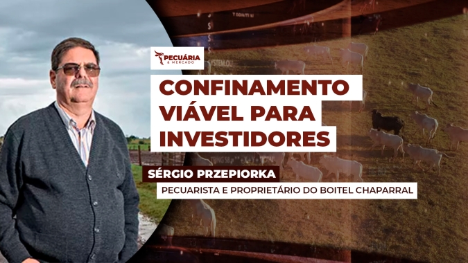 Alta da arroba na B3 estimula confinamento