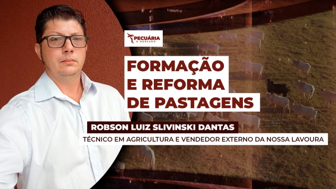 Conheça as técnicas necessárias para renovação eficiente das pastagens