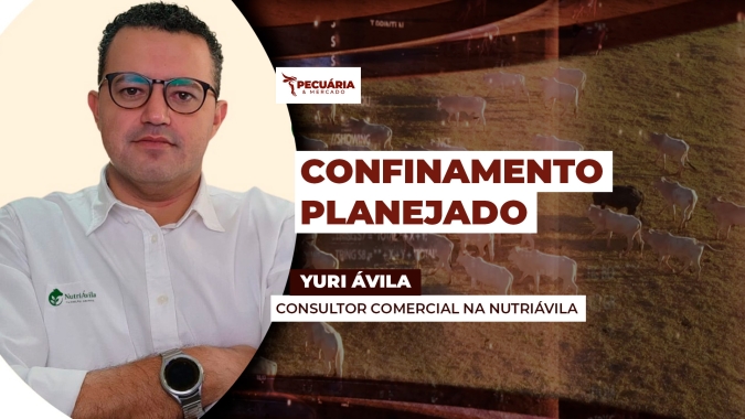 A importância do planejamento estratégico na compra de insumos que serão utilizados no confinamento