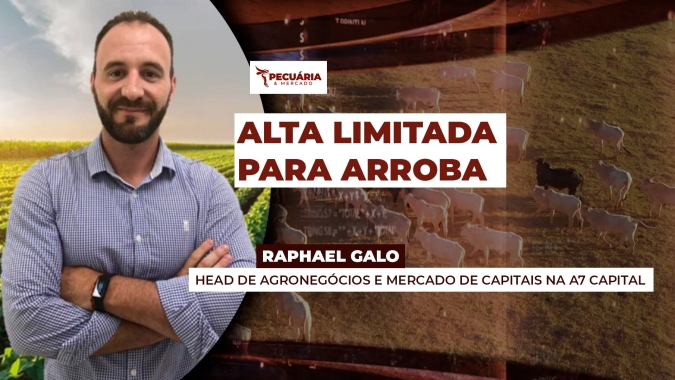 Alta da arroba no primeiro trimestre pode ser limitada por incertezas na exportação de carne