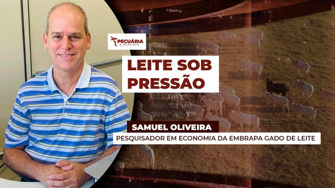 Preço do leite ao produtor perde a referência dos R$2 por litro e aperta margem no campo