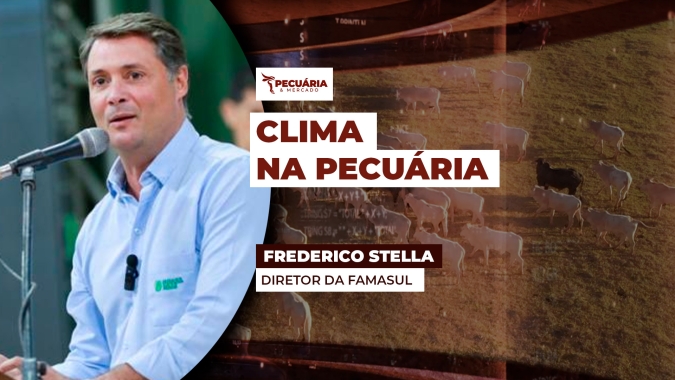 Pecuaristas de MS projetam 2026 com arroba mais valorizada e pastagens favorecidas