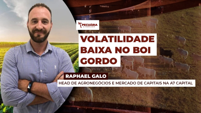 Calmaria nos contratos futuros reduz o custo de puts e calls e cria oportunidade para o pecuarista antecipar proteção de preços