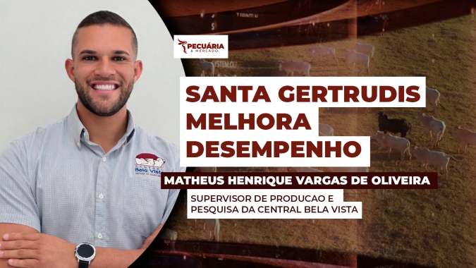 Prova mostra evolução da raça em eficiência alimentar e qualidade da carne