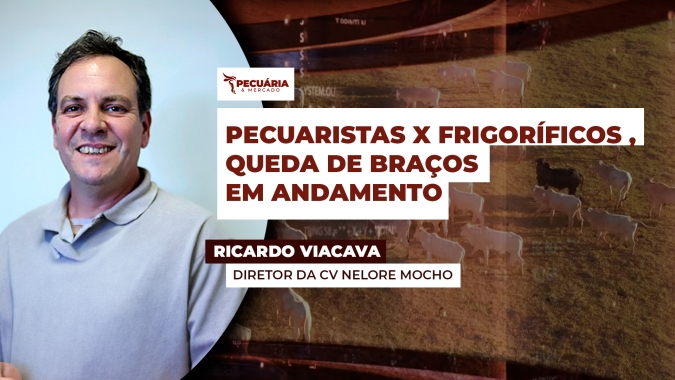 Queda de braços entre frigoríficos e pecuaristas se intensifica e interfere nas escalas de abate