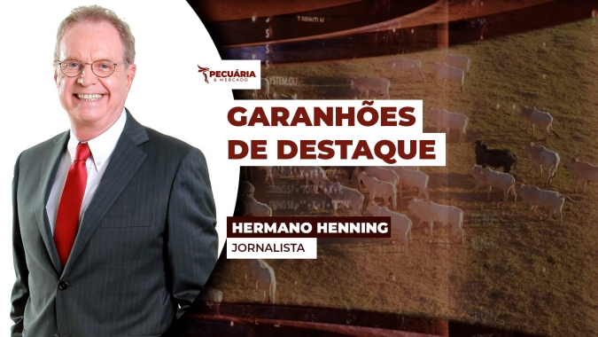 Puro Sangue Inglês e a conexão com o turfe brasileiro