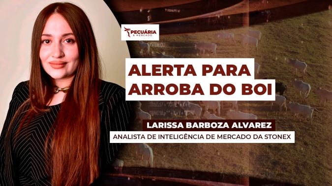 Prolongamento do conflito no Oriente Médio pode impactar movimento de alta da arroba