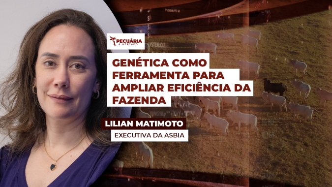 Genética pode potencializar resultados do rebanho, mas precisa ser bem planejada para ser eficiente