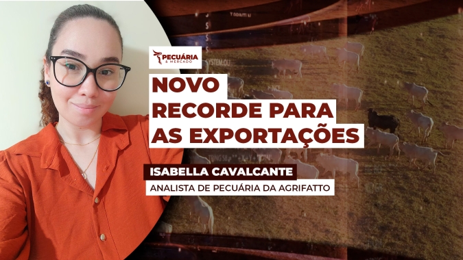 Exportação de carne bovina brasileira tem potencial para atingir inéditas 300 mil toneladas em outubro.