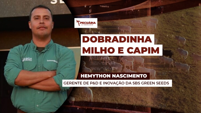 Dobradinha Milho X Capim para reestruturar solo e aprimorar nutrição dos animais em períodos de restrição