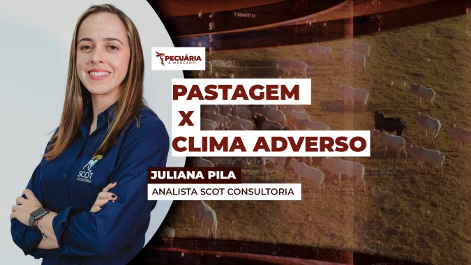 Produtor passa por momento desafiador com sequência de queda nos preços do leite
