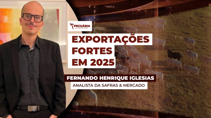Reação nos preços do bezerro está começando , mas troca ainda é favorável