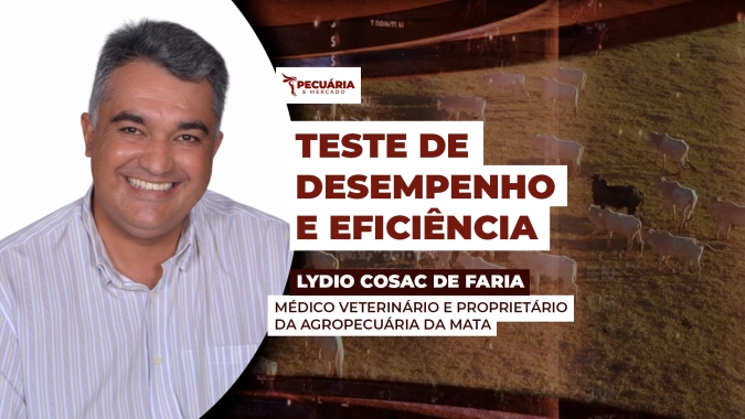 Teste de eficiência com o Nelore atrai interesse das centrais de genética