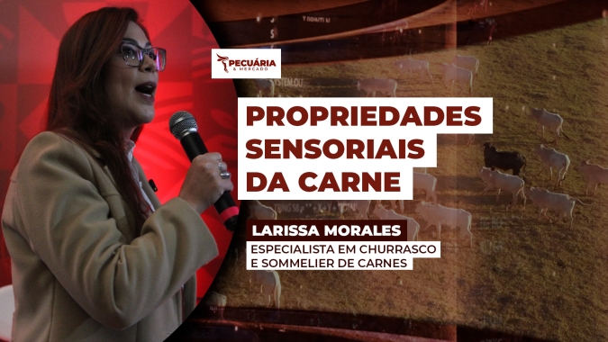 Primeira Sommelier de carnes do Brasil explica como identificar características que valorizam a carne