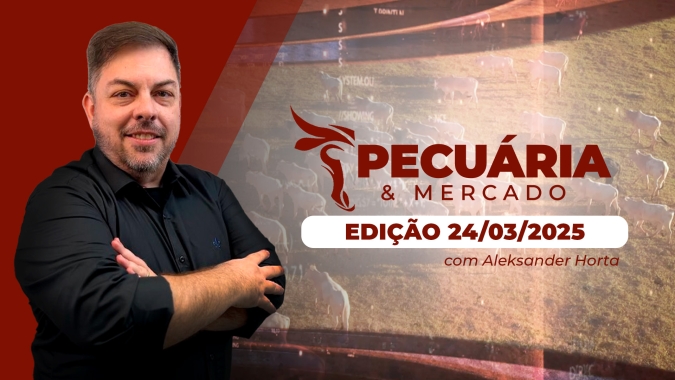 Semana começa com expectativa de alta para arroba do boi com frigoríficos precisando alongar escalas; Vaca se desvaloriza mais  que novilha no primeiro bimestre.