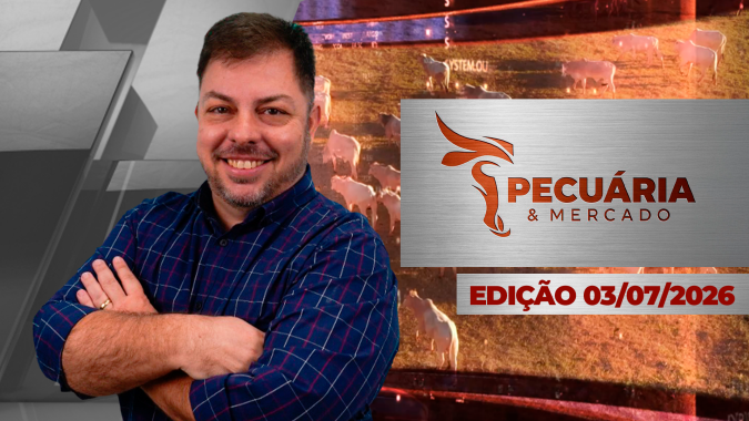 Estratégia dos frigoríficos está funcionando e arroba perde mais de R$20 em duas semanas