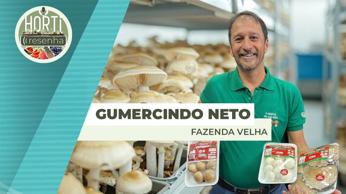 HORTI RESENHA #119 - Produção de cogumelos orgânicos