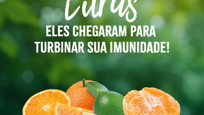 IFPA promove campanha de sazonalidade de citrus para varejo aumentar consumo