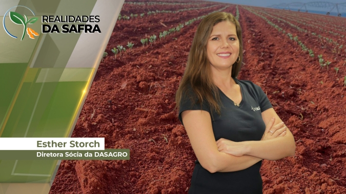 Plantio da soja no Paraguai termina, com preços 15% mais baixos que 2023 para a safra nova