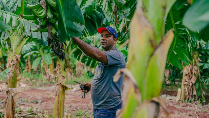 Produtor de bananas melhora gestão e aumenta produtividade com apoio do Senar-MT