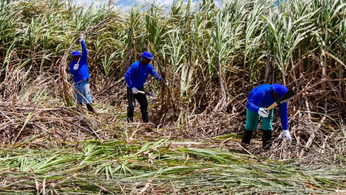 Produtores de cana-de-açúcar da Paraíba estão preocupados com baixo preço pago pela tonelada da matéria-prima