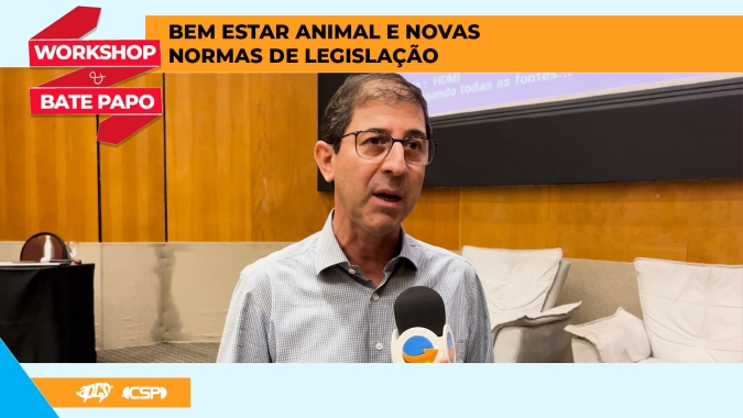 Normativa para bem-estar animal para suínos se desdobra em mudanças no manejo e também nas estruturas das granjas
