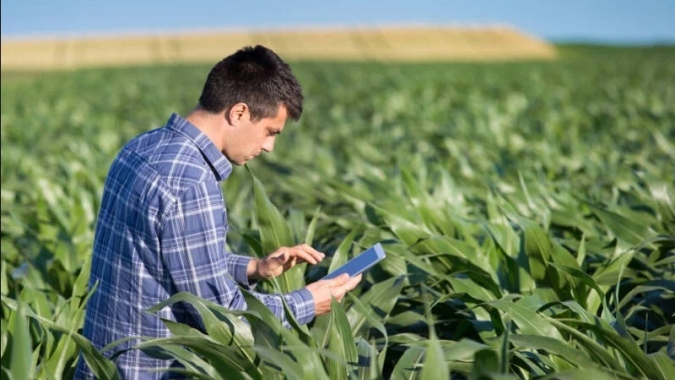 Em junho, Valor Bruto da Produção Agropecuária é estimado em R$ 1,4 trilhão