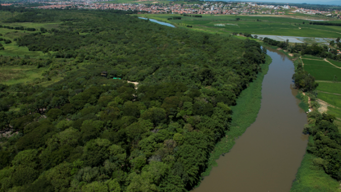 No Dia da Terra, BASF reafirma compromissos ambientais em suas diferentes frentes de produção