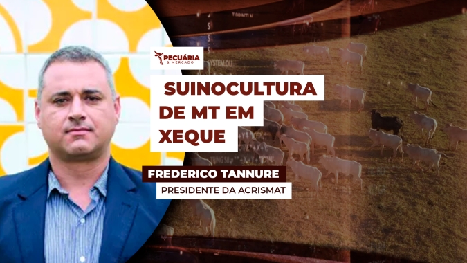 Falta de veterinários na inspeção de Frigoríficos limita expansão da suinocultura em MT