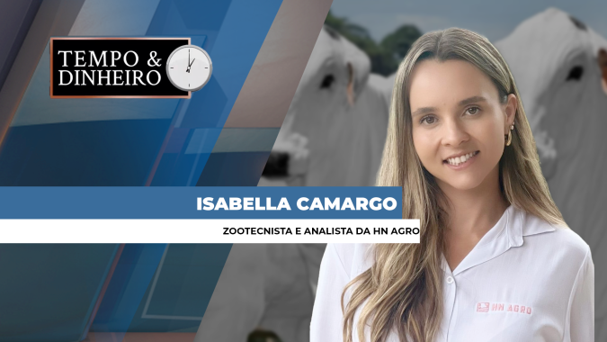 Boi e outras proteínas animais com balanço positivo na produção exportação, informa Isabella Camargo