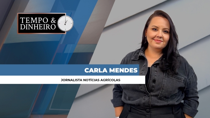 Soja: safra brasileira vai ter irregularidade na qualidade por causa do clima, alerta Carla Mendes