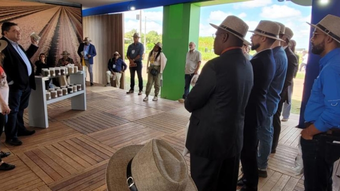 Feijões e pulses têm mercado promissor no exterior, dizem representantes do setor na AgroBrasília