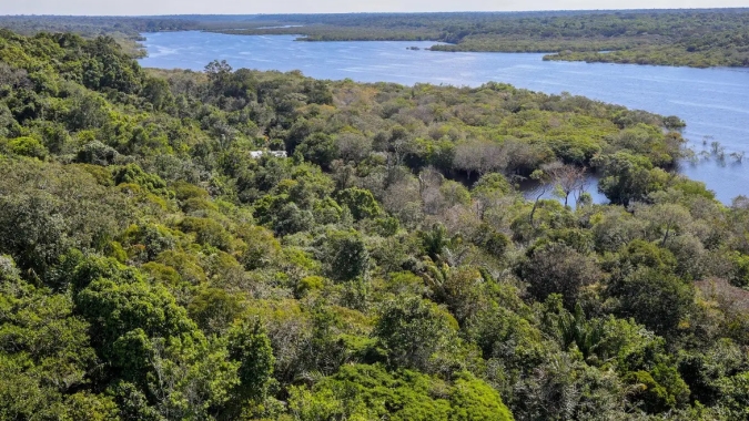Desmatamento na Amazônia cai 30,6% em um ano