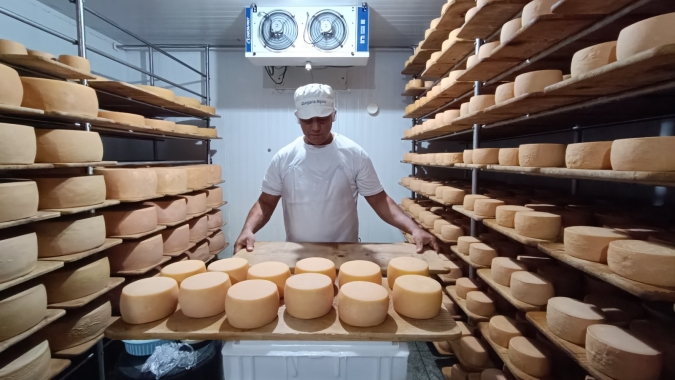 Goiás avança na produção de queijo artesanal reconhecido nacionalmente