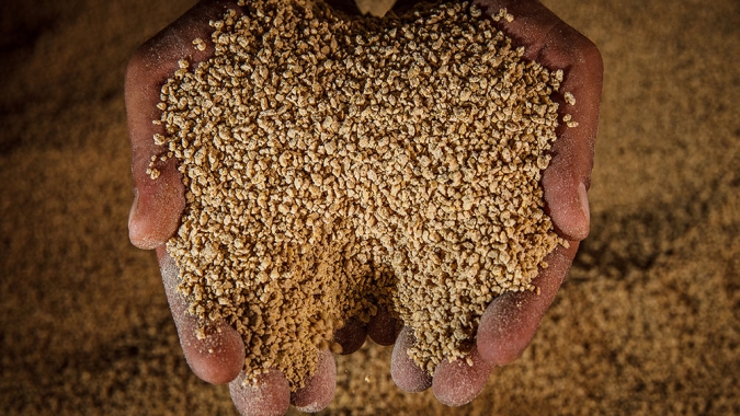 Sindirações divulga prévia do setor de Alimentação Animal com crescimento estimado em 1,5% no ano