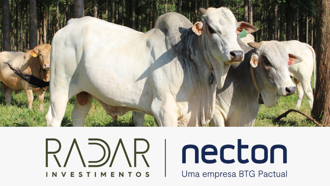 Radar Investimentos: Embarques de carne bovina para o exterior atingiram 305 mil toneladas